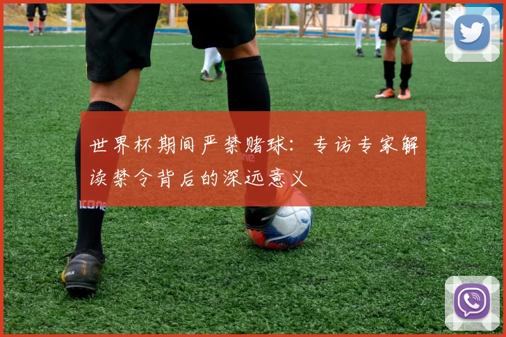 世界杯期间严禁赌球:专访专家解读禁令背后的深远意义