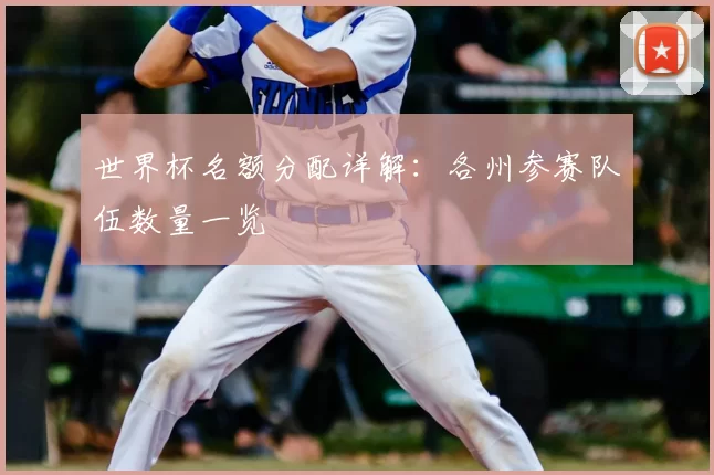 世界杯名额分配详解:各州参赛队伍数量一览