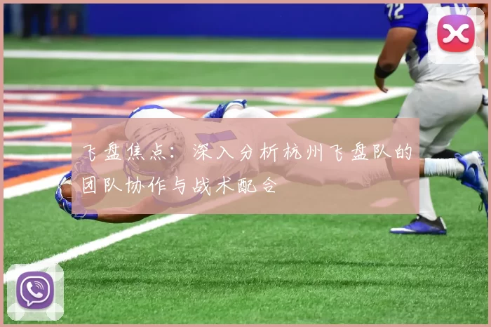 飞盘焦点：深入分析杭州飞盘队的团队协作与战术配合
