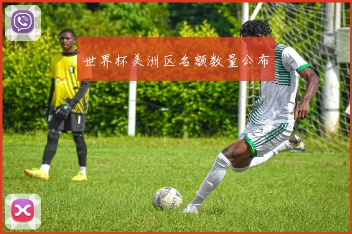 世界杯美洲区名额数量公布