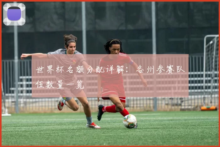 世界杯名额分配详解：各州参赛队伍数量一览