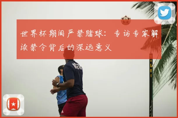 世界杯期间严禁赌球：专访专家解读禁令背后的深远意义