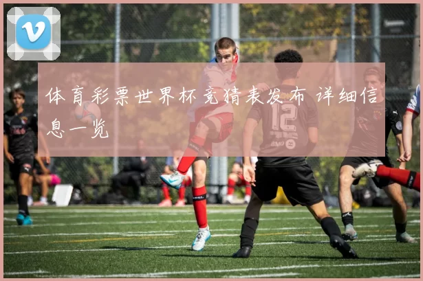 体育彩票世界杯竞猜表发布 详细信息一览