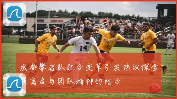 成都攀岩队配合变革引发热议探索新高度与团队精神的结合