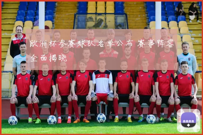 欧洲杯参赛球队名单公布 赛事阵容全面揭晓
