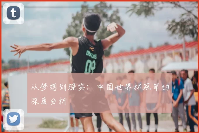 从梦想到现实：中国世界杯冠军的深度分析