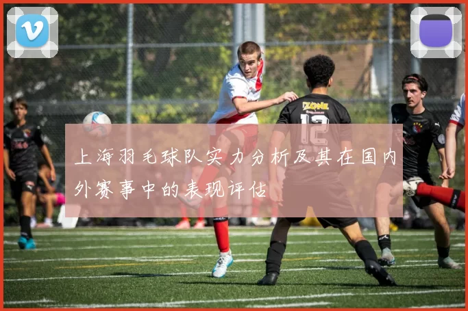 上海羽毛球队实力分析及其在国内外赛事中的表现评估