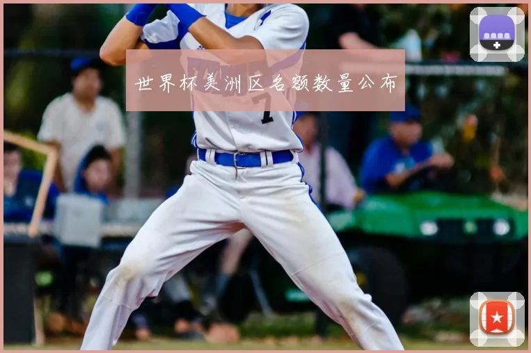 世界杯美洲区名额数量公布
