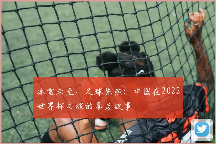 冰雪未至,足球先热:中国在2022世界杯之旅的幕后故事