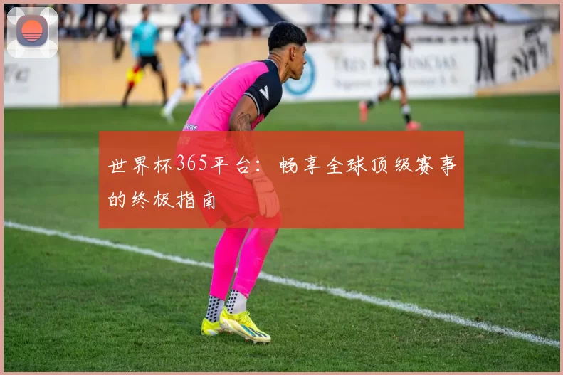 世界杯365平台:畅享全球顶级赛事的终极指南