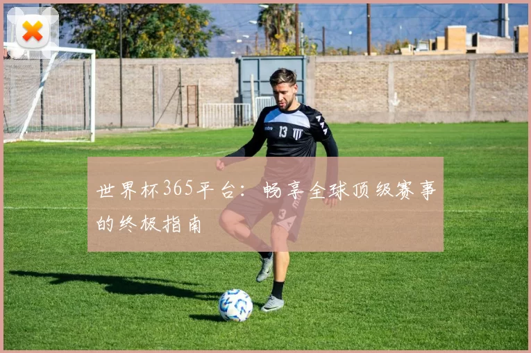 世界杯365平台:畅享全球顶级赛事的终极指南
